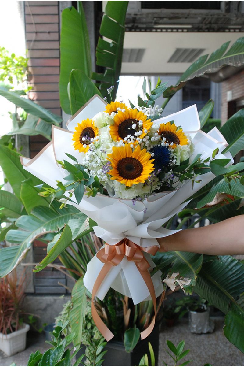 陽光朝氣向日葵Sunshine Blooms